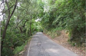 Recco, asfaltatura strade comunali: c’è il progetto esecutivo