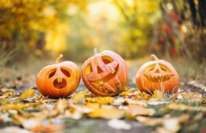 Fiera della zucca a Zuccarello Fiera della zucca a Zuccarello