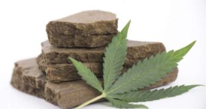 Denunciato per possesso di droga