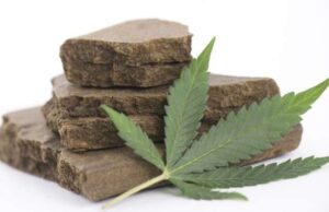 Denunciato per possesso di droga Denunciato per possesso di droga