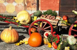 Continua a Murta la Mostra della Zucca Continua a Murta la Mostra della Zucca