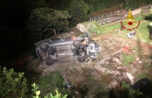 Animale gli attraversa la strada e finisce con l’auto in una fascia Animale gli attraversa la strada e finisce con l'auto in una fascia