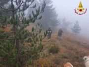 Piani di Praglia, tornati a casa i 3 ragazzi ritenuti dispersi: avevano i cellulari scarichi Si perde con i cani ai Piani di Praglia per la nebbia, salvata