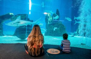 Un regalo a tutti bimbi vaccinati della Liguria Un regalo a tutti bimbi vaccinati della Liguria