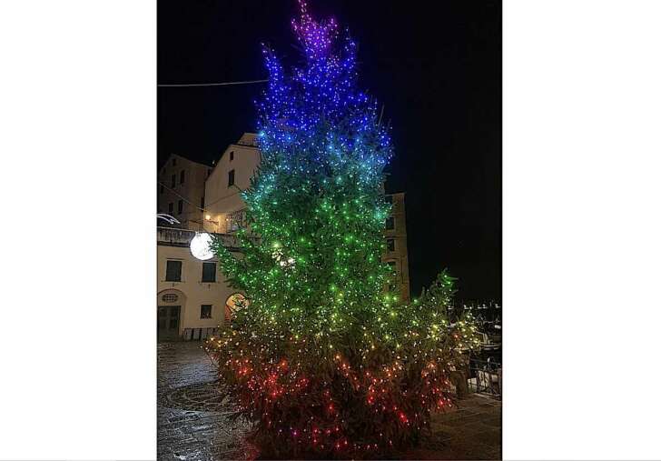 I presepi di Camogli e l’albero nel cuore del porticciolo