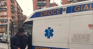 Molosso ferito soccorso dalla Croce Gialla Soccorso Animali