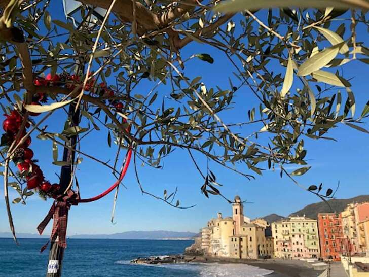 I presepi di Camogli e l’albero nel cuore del porticciolo