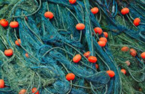 Costi insostenibili per i pescatori liguri Costi insostenibili per i pescatori liguri