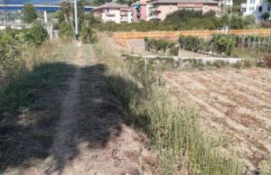 Lavori alla foce dell’Entella Lavori alla foce dell’Entella