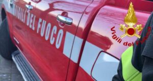 Salvato rapace a Sarzana