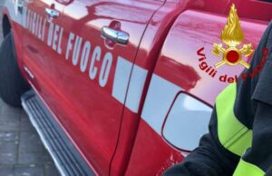 Salvato rapace a Sarzana Salvato rapace a Sarzana