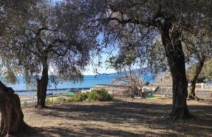 A Chiavari una nuova area ripulita A Chiavari una nuova area ripulita