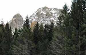 Eventi nelle Valli del Parco dell’Aveto Parco dell'Aveto