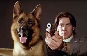 Rex l’immortale, la primissima serie nel pomeriggio su Rai3 Rex l’immortale, la primissima serie nel pomeriggio su Rai3