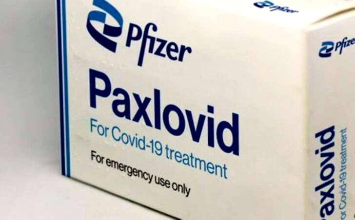 Arriva la pillola anticiovid Paxlovid della Pfizer, lo annuncia Figliuolo