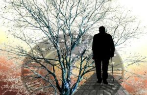 Recco, contributo economico al progetto: Seconda Stella Levante