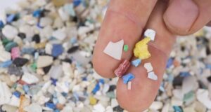 9 persone su 10 a favore di un Trattato su inquinamento plastica