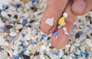 9 persone su 10 a favore di un Trattato su inquinamento plastica 9 persone su 10 a favore di un Trattato su inquinamento plastica