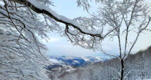 La magia della neve ai Parchi dell’Antola e dell’Aveto