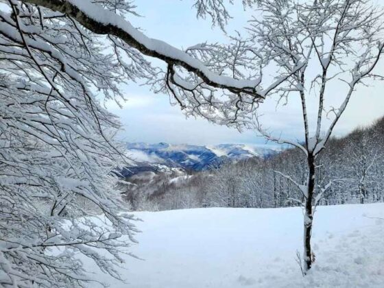 La magia della neve ai Parchi dell’Antola e dell’Aveto