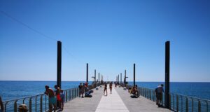 Individuati i lanciatori di biciclette dal molo a Savona