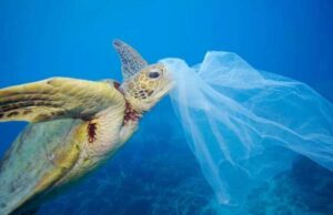 Oceani inquinati 4 volte di più entro il 2050 Oceani inquinati 4 volte di più entro il 2050