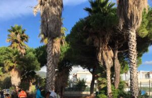 Progetto Erasmus per la riqualificazione del verde pubblico a Cervo Progetto Erasmus per la riqualificazione del verde pubblico a Cervo