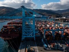 Proseguono le opportunità di impiego al Container Terminal di Vado Ligure Container Terminal di Vado Ligure