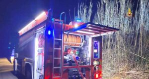 Alassio, a fuoco pineta: fiamme spente dai VVF