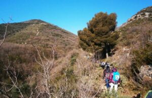 Nuovo appuntamento con “Loano non solo mare” Nuovo appuntamento con “Loano non solo mare”