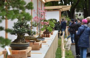 Ad Euroflora i bonsai in mostra