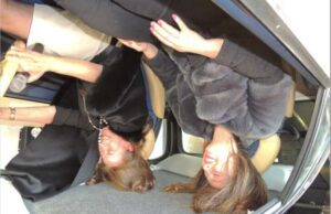 A Loano la “Crash Test Experience” A Loano la “Crash Test Experience”