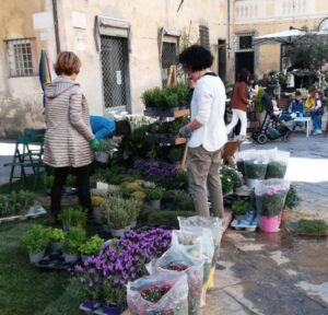 A Fior d’Albenga protagoniste “Donne in Campo”