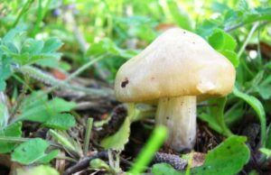 Al via la stagione nelle Valli dell’Aveto Al via la stagione nelle Valli dell'Aveto