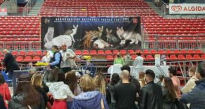 Seconda giornata per la “Felina” all’RDS Stadium di Genova