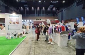 Nel weekend a Genova arriva la Mostra Felina – World Cats Nel weekend a Genova arriva la Felina - World Cats