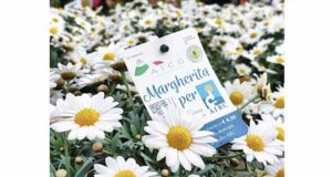 Ricerca oncologica, torna la campagna per Airc con le margherita
