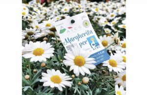 Ricerca oncologica, torna la campagna per Airc con le margherite Ricerca oncologica, torna la campagna per Airc con le margherita