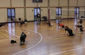 Pallavolo – Matec verso la “partitissima”