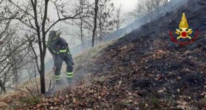 Incendio boschivo in località Colla, a fuoco 4 mila metri quadri