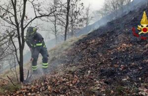 Incendio boschivo in località Colla, a fuoco 4 mila metri quadri Incendio boschivo in località Colla, a fuoco 4 mila metri quadri
