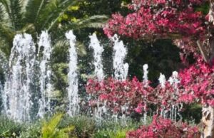 Domani Euroflora ospita i genovesi con in prezzo speciale Domani Euroflora ospita i genovesi con in prezzo speciale, i nostri cittadini potranno accedere al prezzo speciale di 15 euro.