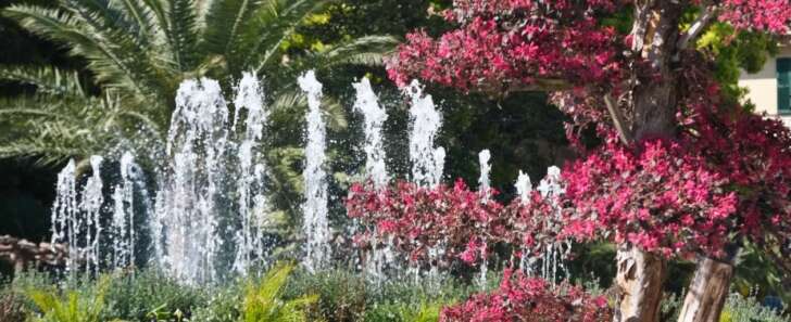 Domani Euroflora ospita i genovesi con in prezzo speciale, i nostri cittadini potranno accedere al prezzo speciale di 15 euro. Domani Euroflora ospita i genovesi con in prezzo speciale, i nostri cittadini potranno accedere al prezzo speciale di 15 euro.