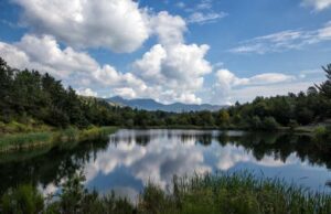 Aree protette, Lega: maggiore coordinamento fra Regioni e Governo Il Laghetto del Bocco