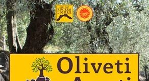 Oliveti aperti