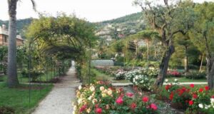 Roseto del parco di Nervi a Genova