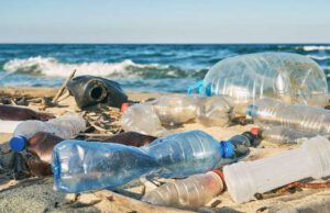 Consiglio comunale dei Ragazzi: in canoa a pulire il mare di Recco