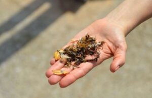 Coop e la campagna per l’ambiente “Un mare di idee per le nostre acque” Coop e la campagna per l’ambiente “Un mare di idee per le nostre acque”