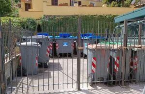 Recco, cinghiali, basta ribaltare cassonetti. Recintato postazione