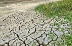 Coldiretti: siccità, necessario attivare un tavolo permanente regionale Toti ha firmato la richiesta per lo Stato di emergenza per la siccità in Liguria